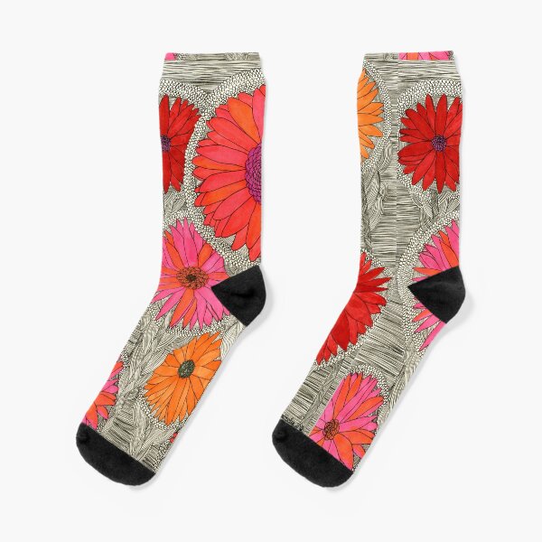Gerbera Dasies- Red Socks