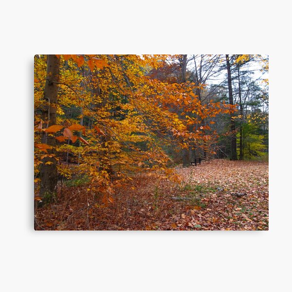 Item preview, A cozy comforter of leaves designed and sold by MarianBendeth.