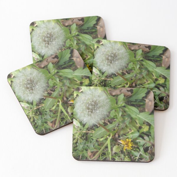 Item preview, Dandelion Up Close And Personal v.2 designed and sold by Mark Polk.
