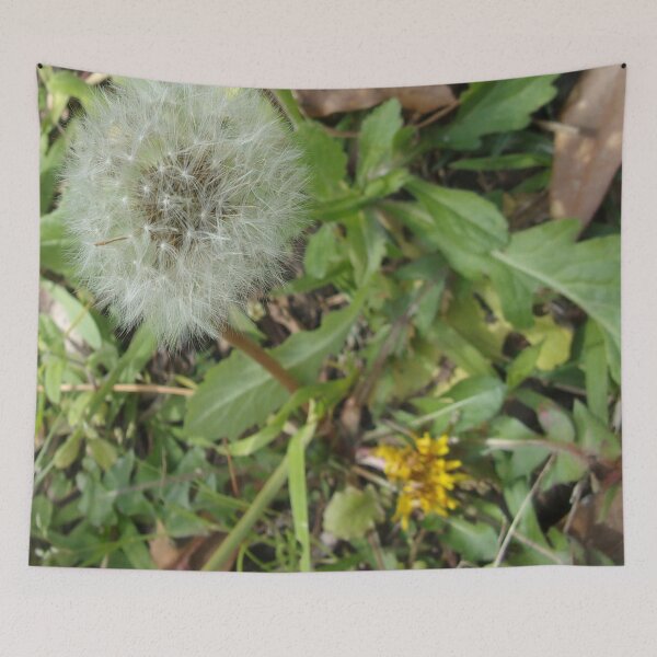 Item preview, Dandelion Up Close And Personal v.2 designed and sold by Mark Polk.