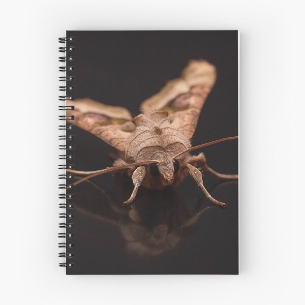 Item preview, Angle Shades Portrait designed and sold by Dan Newton.