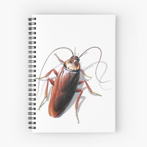 Item preview, Cockroach designed and sold by Salmoneggs.