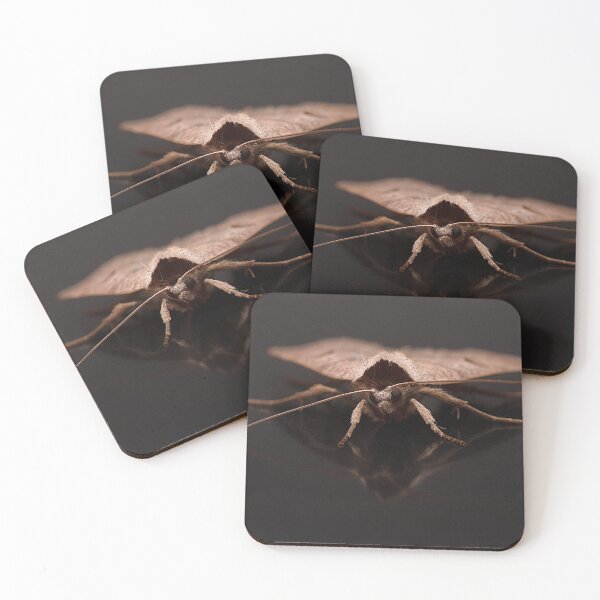 Item preview, Blackneck Moth Portrait designed and sold by Dan Newton.