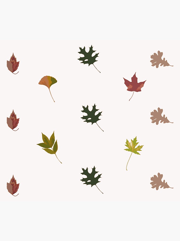 "TYPES OF LEAVES" Poster by jpbacalla Redbubble