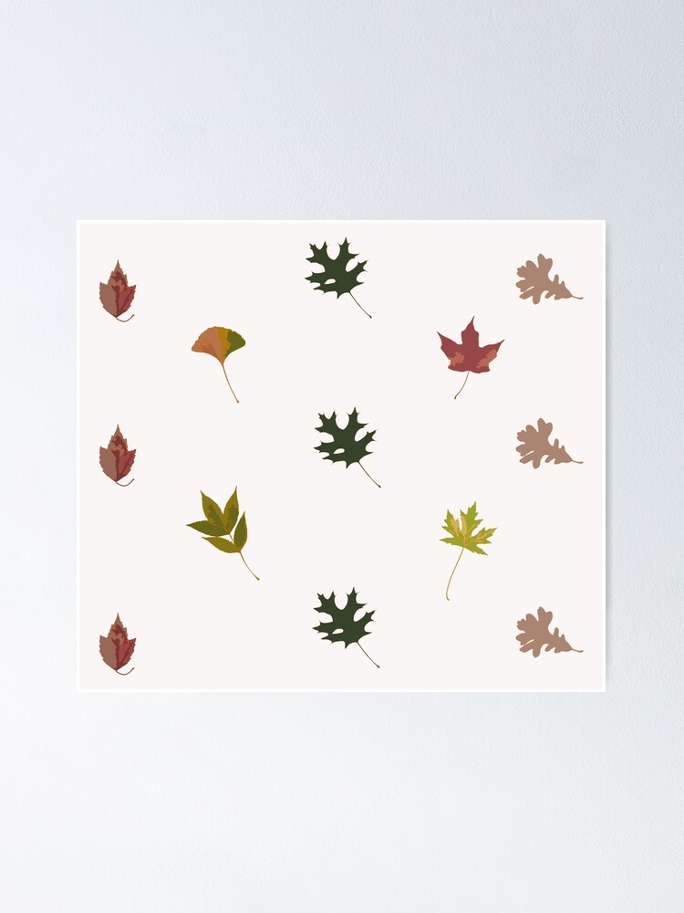 "TYPES OF LEAVES" Poster by jpbacalla Redbubble