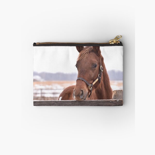 Item preview, Skipshot filly  designed and sold by theartsyeq.
