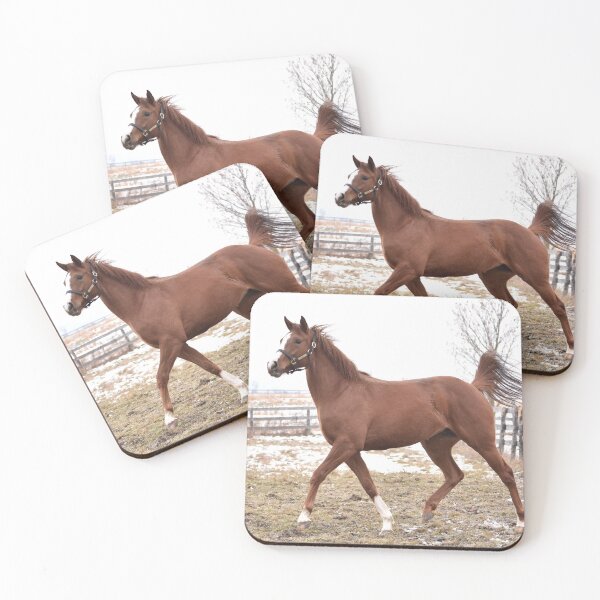 Item preview, Verrazano filly  designed and sold by theartsyeq.