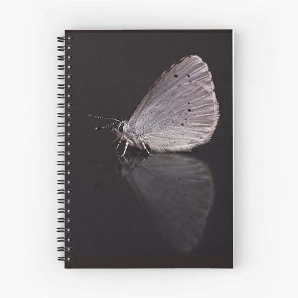 Item preview, Holly Blue Butterfly Portrait designed and sold by Dan Newton.