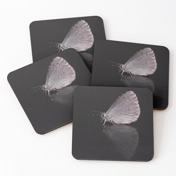 Item preview, Holly Blue Butterfly Portrait designed and sold by Dan Newton.