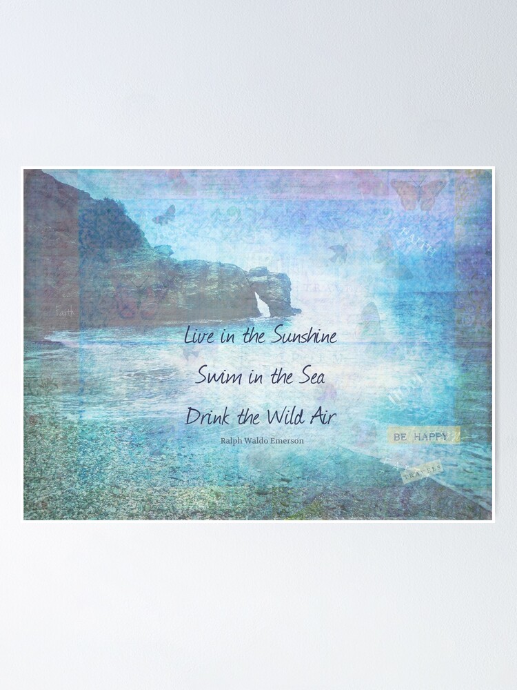 Poster Vivre Sous Le Soleil Nager Dans La Mer Citation Drink The Wild Air Par Goldenslipper Redbubble