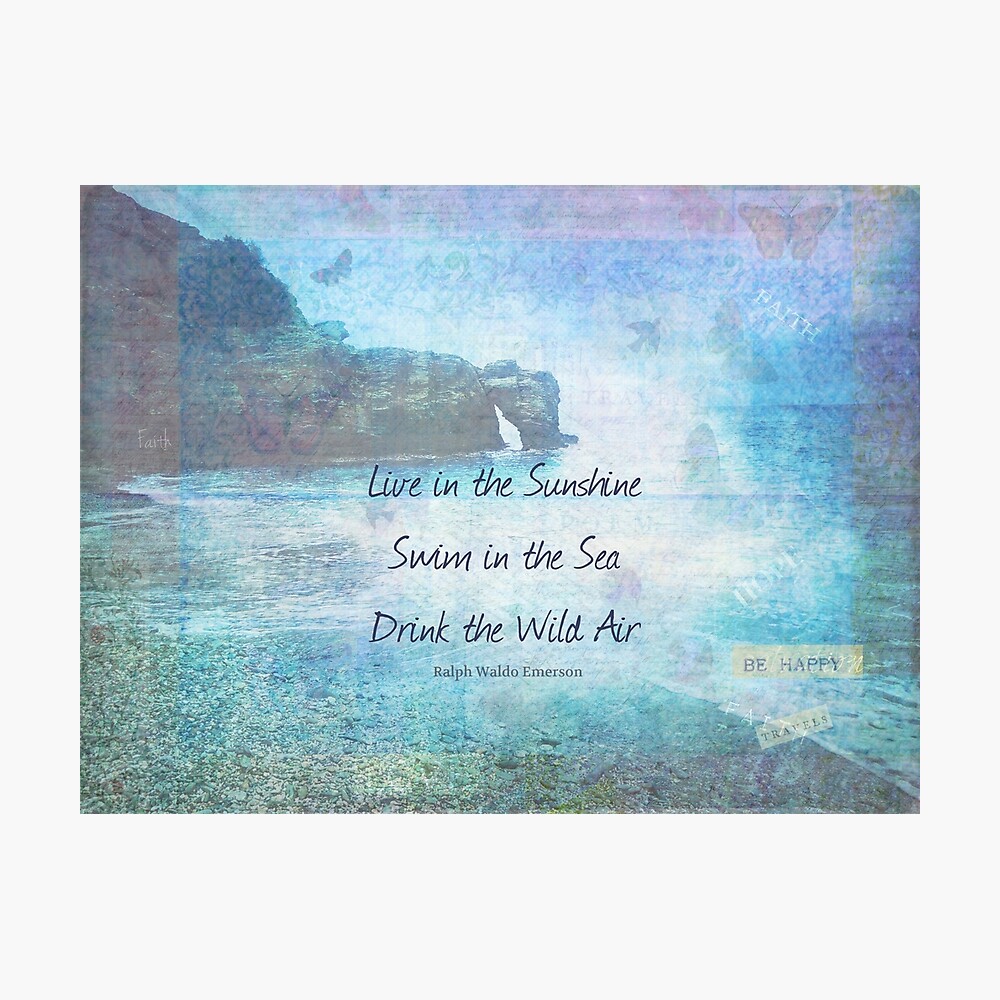 Poster Vivre Sous Le Soleil Nager Dans La Mer Citation Drink The Wild Air Par Goldenslipper Redbubble