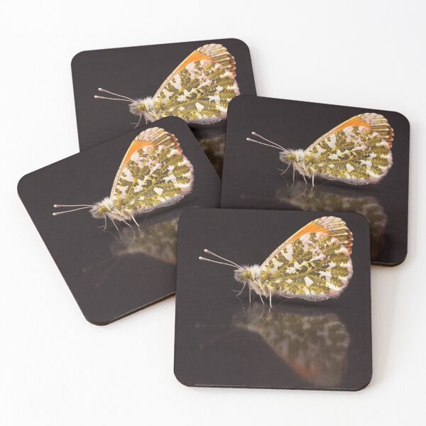 Item preview, Orange-tip Butterfly Portrait designed and sold by Dan Newton.