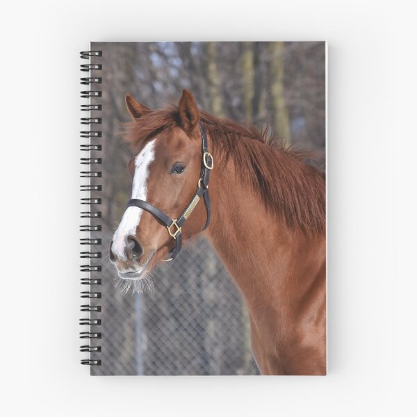 Item preview, Verrazano filly designed and sold by theartsyeq.