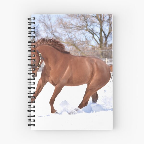 Item preview, Verrazano filly designed and sold by theartsyeq.