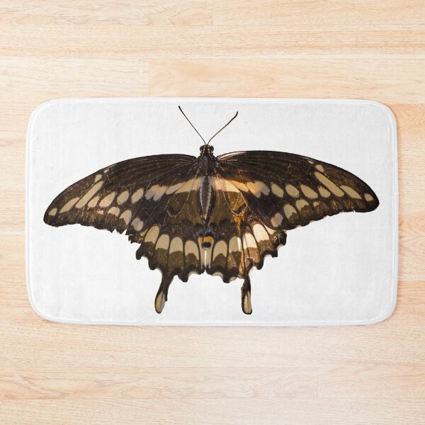 Item preview, Giant Swallowtail designed and sold by Zina Stromberg.