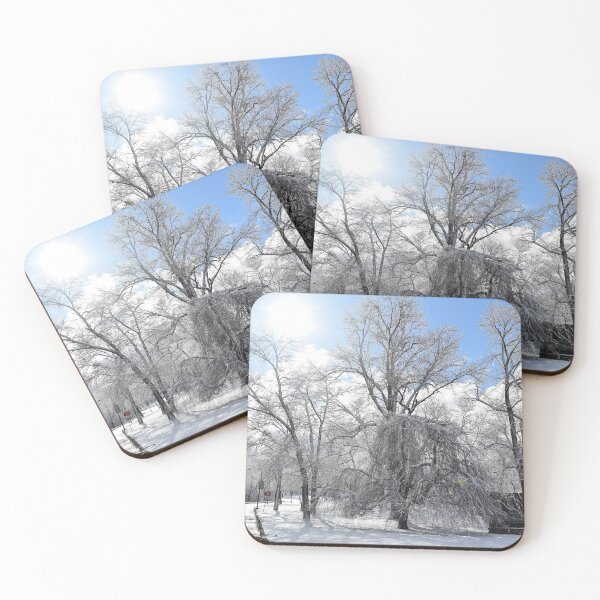 Item preview, Snow day in Schenley Park, Pittsburgh designed and sold by LJSparvero.