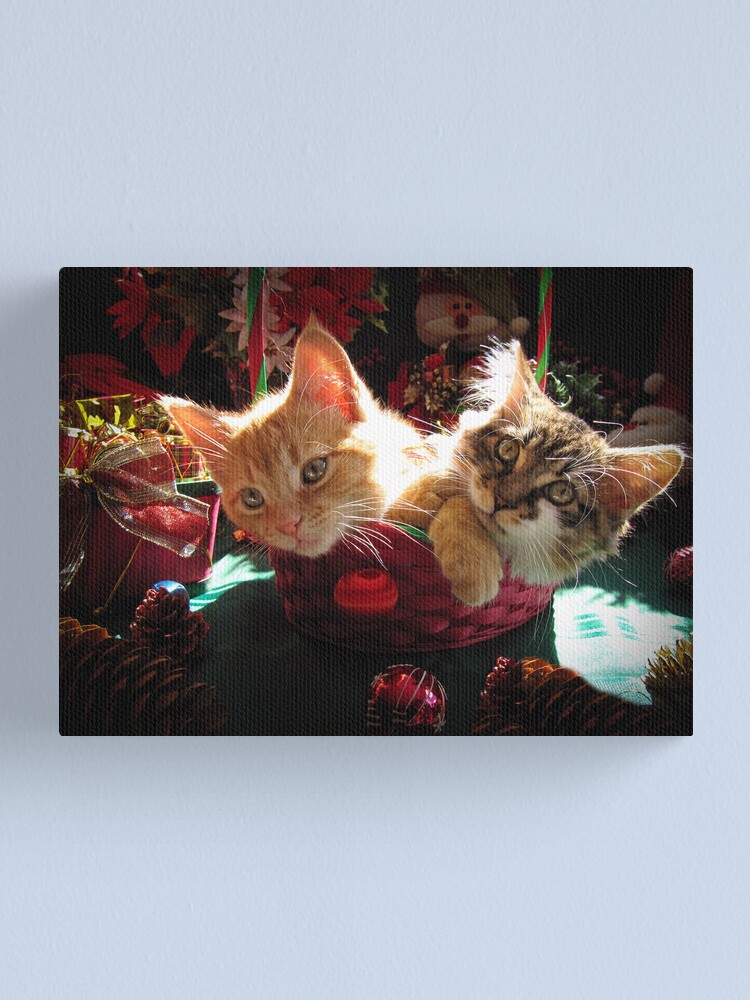 "Christmas Basket of Two Kittens in Love Portraits of Kitty Cats in