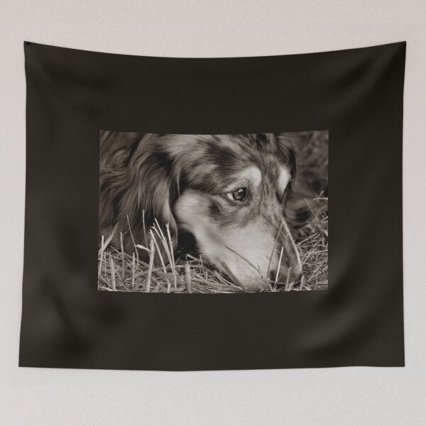 Item preview, Weary dog designed and sold by Laurie Minor.
