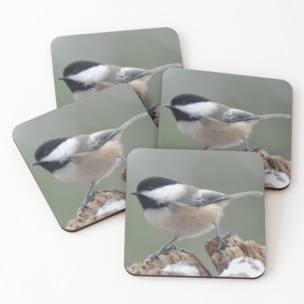 Item preview, Black-capped Chickadee (Poecile atricapillus) in Winter designed and sold by rodmacpherson.