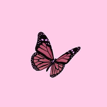 Artwork thumbnail, Pink Monarch Butterfly by paytonstach