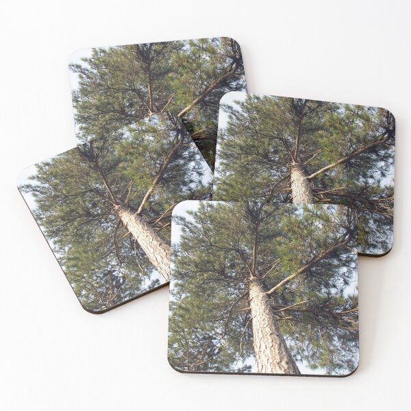 Item preview, Dizzying Heights - Mature Tree on an Essex Farm designed and sold by BlueMoonRose.