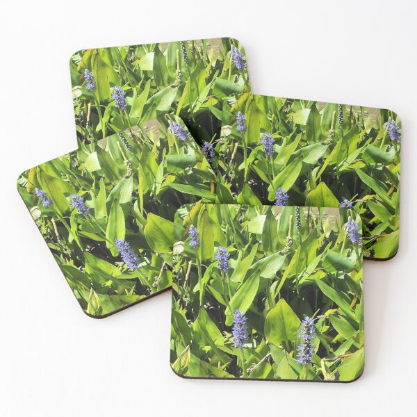 Item preview, Purple Pickerel  designed and sold by Margaret Stevens.