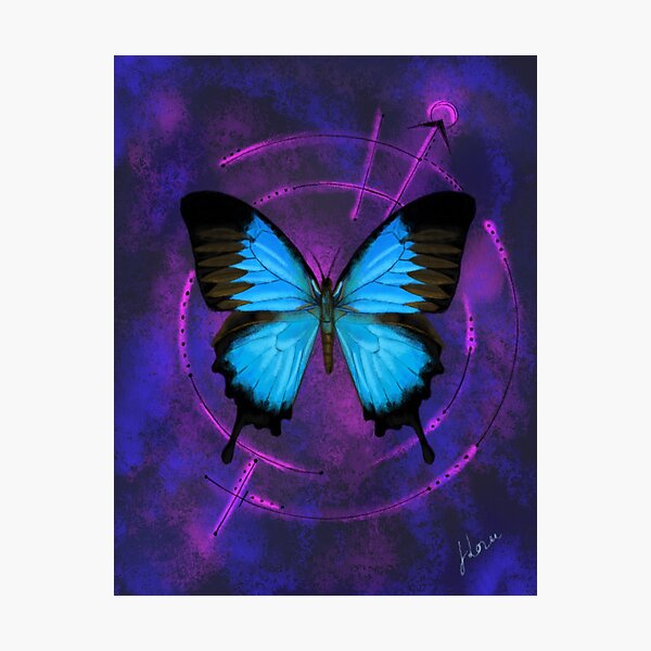 Space Butterfly 2 Photographic Print