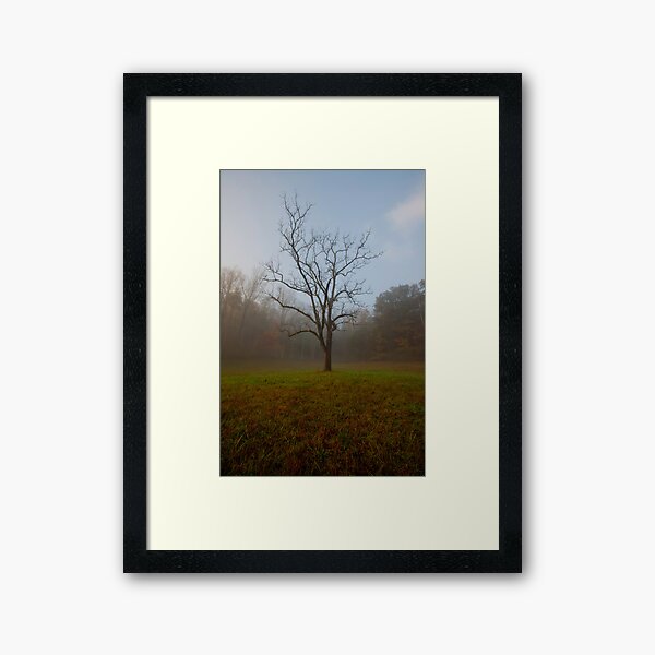 Foreshadow Framed Art Print