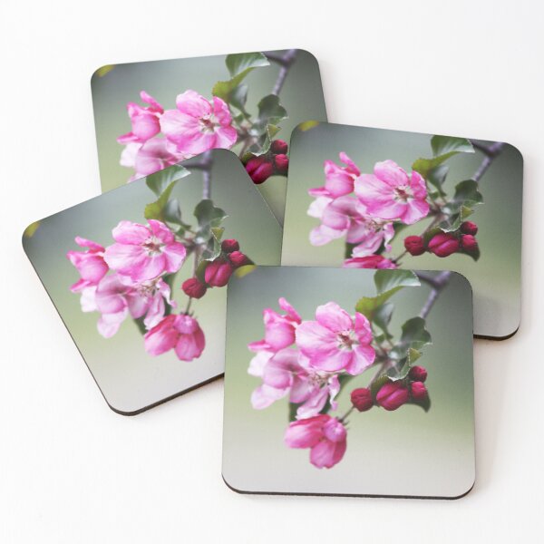 Item preview, Cherry Blossoms designed and sold by Alyce Taylor.