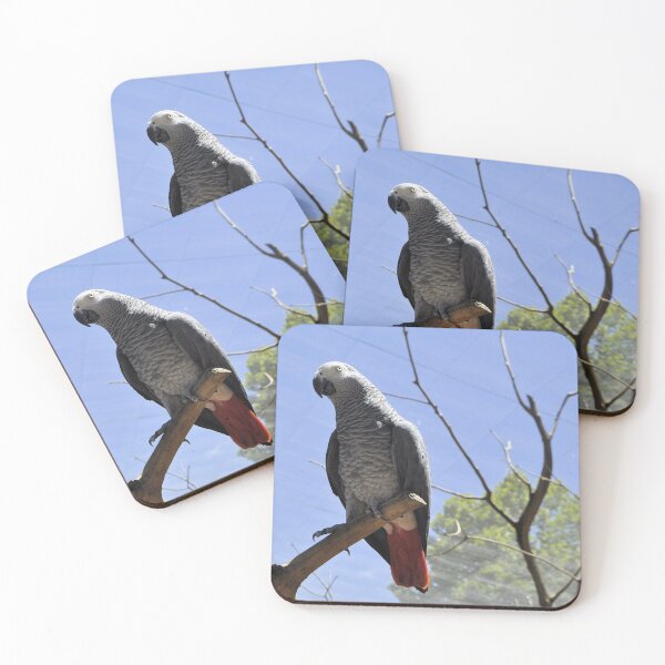 Item preview, Out On A Limb designed and sold by Margaret Stevens.