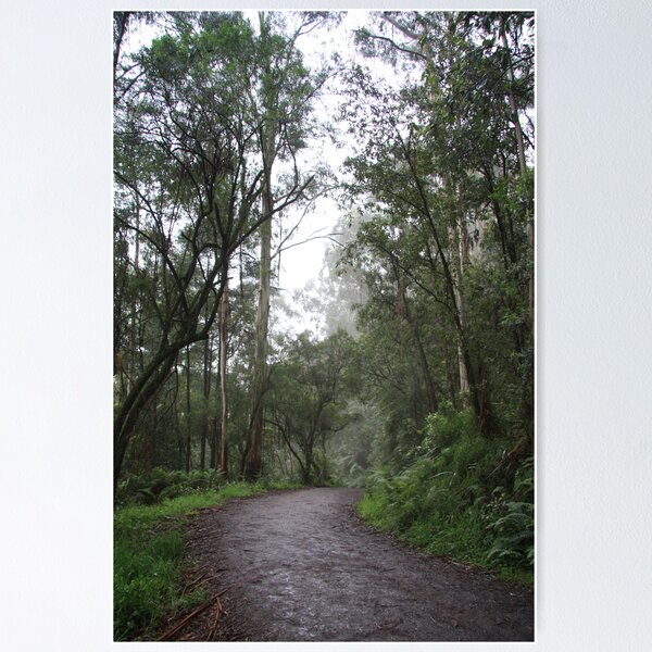 Item preview, A winding path into the mist... designed and sold by Christine77.
