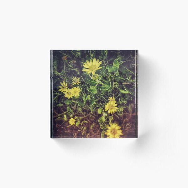 Yellow Flower Grainy Acrylic Block