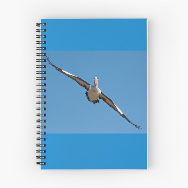 Item preview, Australian Pelican in Flight designed and sold by Peter Ford.