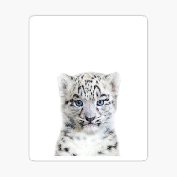 Item preview, Snow Baby Leopard Art Print by Zouzounio Art designed and sold by zouzounioart.