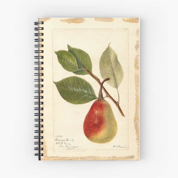 Item preview, A perfect 'pear'ing - Pear art drawing designed and sold by MindChirp.