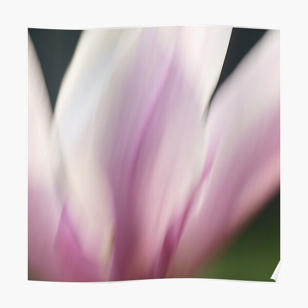 Magnolia 9761 Poster