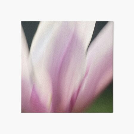Magnolia 9761 Art Board Print