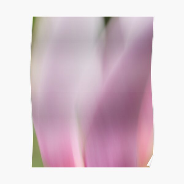 Magnolia 9770 Poster