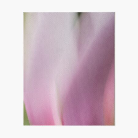 Magnolia 9770 Art Board Print