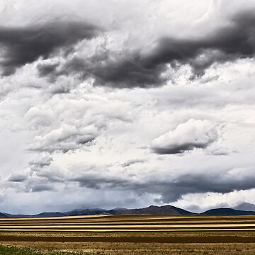 Artwork thumbnail, High Plains Drifters by Gregory J Summers