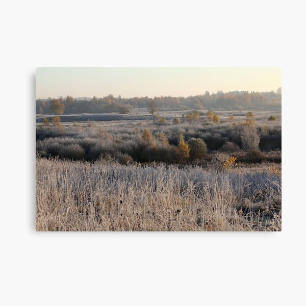 First frost in grassland Canvas Print