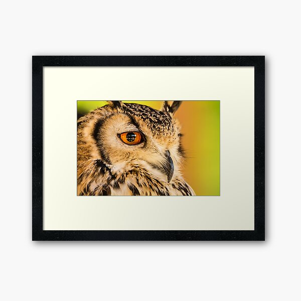 Framed Print