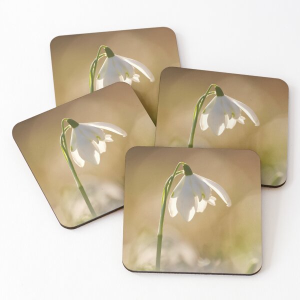 Item preview,  Digital photograph Sunlit Snowdrop designed and sold by SimonJohnson1.