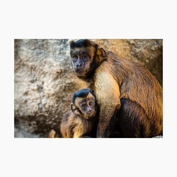 Photographic Print