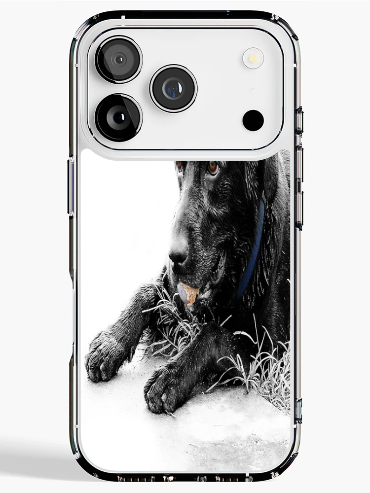 Thumbnail 1 of 5, iPhone Case, Lab designed and sold by Carla Jensen.