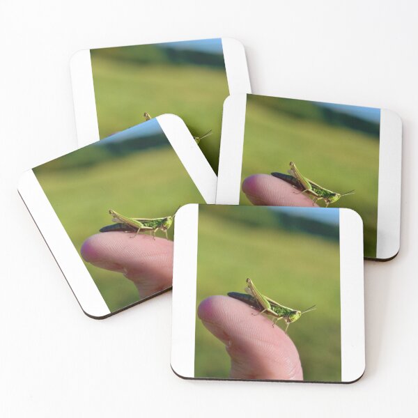 Item preview, Making friends with a Grasshopper designed and sold by gibbiceps.