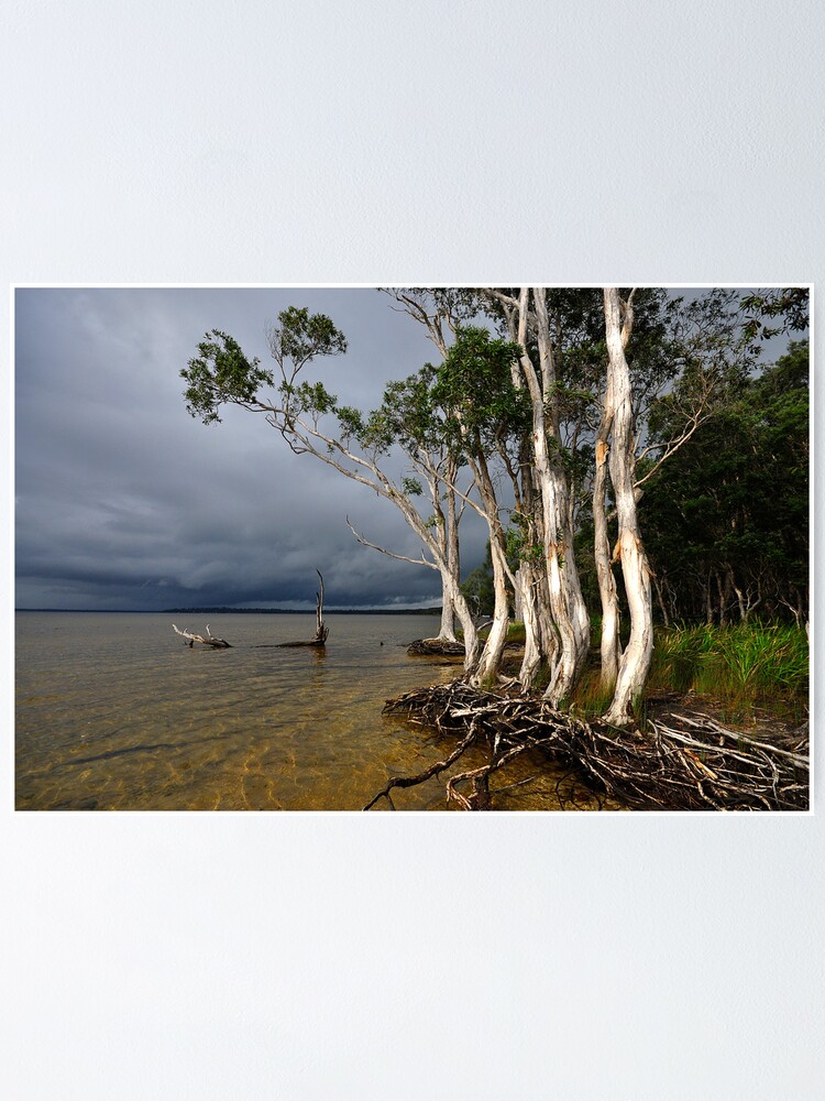 Imagen 1 de 3, Póster con la obra Approaching Storm, diseñada y vendida por buzzword.