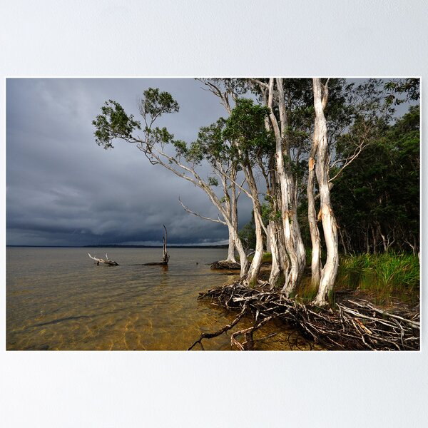 Item preview,  Approaching Storm designed and sold by Barbara Burkhardt.