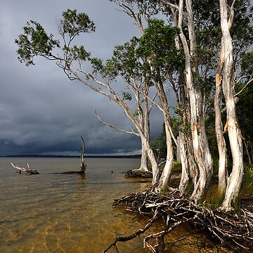 Artwork thumbnail, Approaching Storm by Barbara Burkhardt