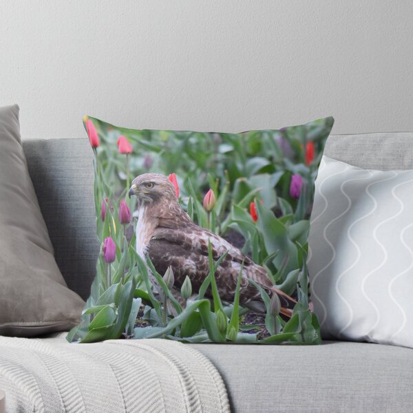 Item preview, Red-tailed hawk tiptoeing through the tulips designed and sold by LJSparvero.